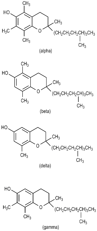 화장품 성분 : 토코페롤 ( Tocopherol )